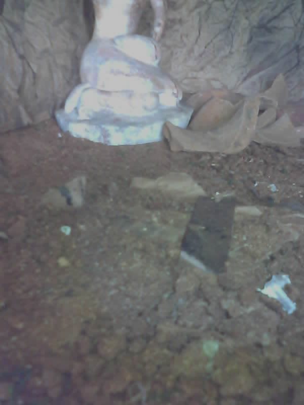 Saved camera frame: rubble and dropped material across the route.