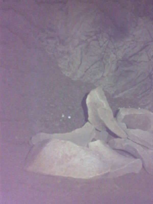 Saved camera frame: pale shapes lying on the chamber floor.