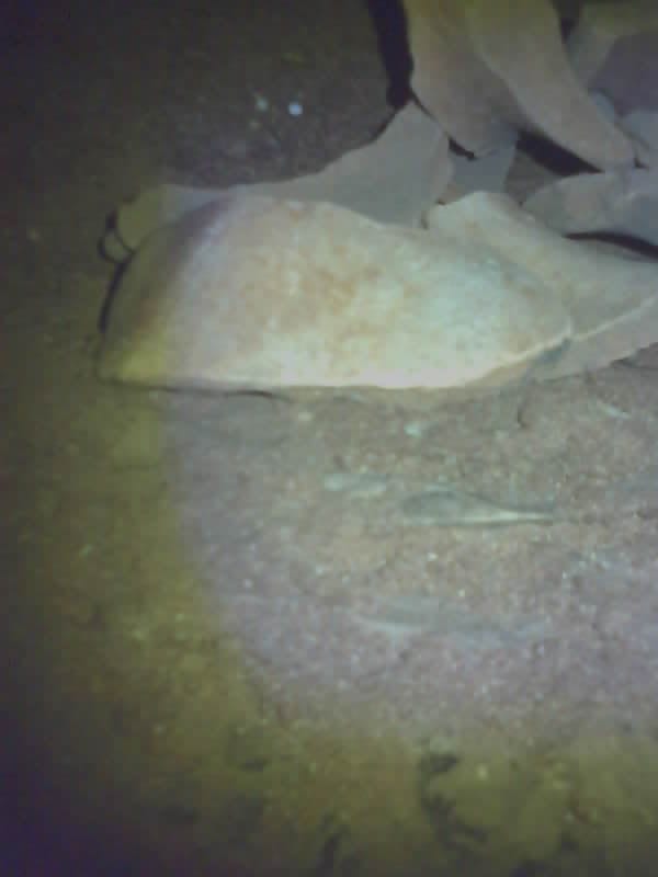 Saved camera frame: a fallen slab over standing water on the chamber floor.